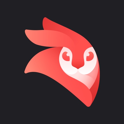 Videoleap Ai