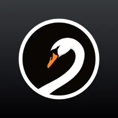 Swan Cam