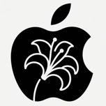 三角洲公益内核